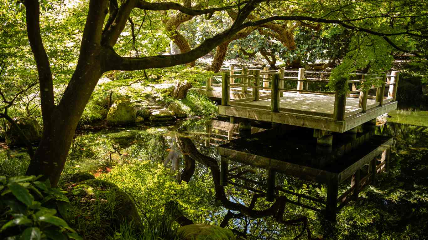 Jardin botanique de San francisco