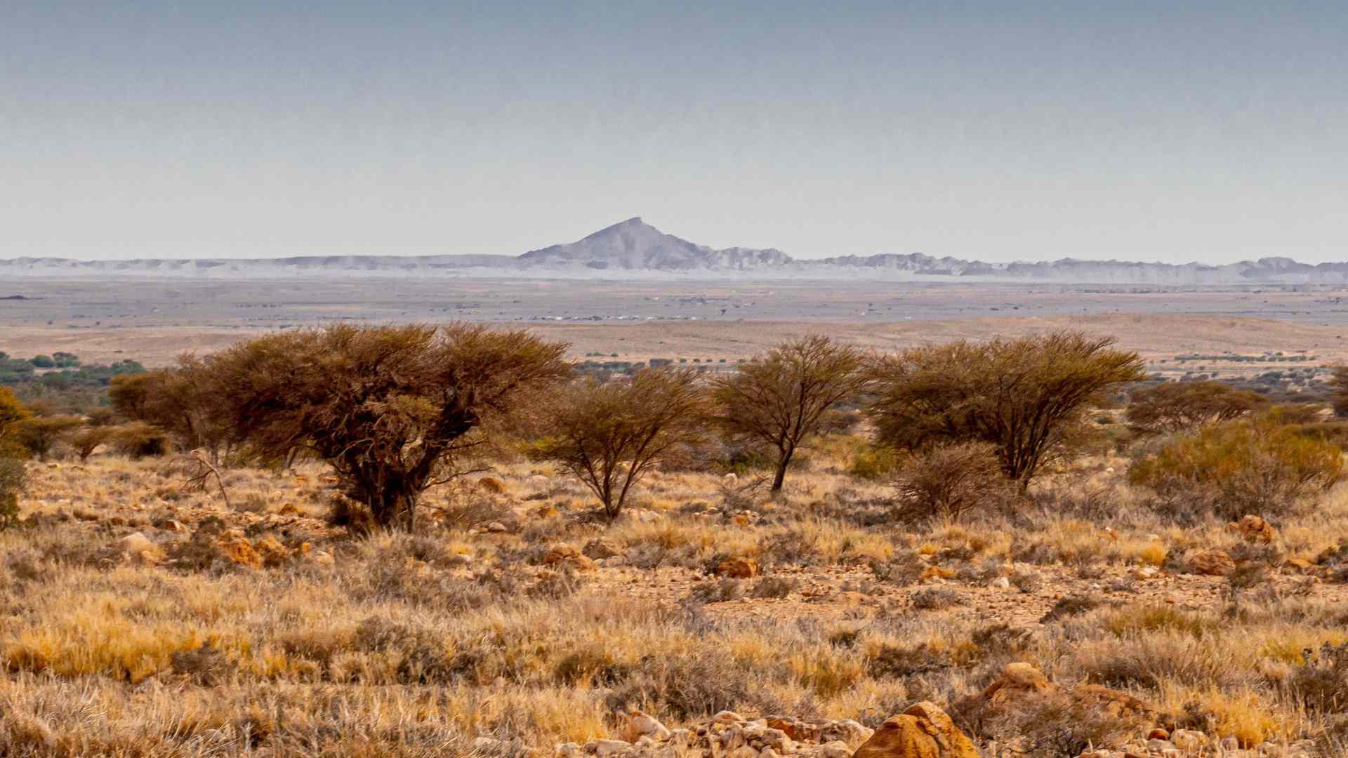 Vue du parc Bouhedma en Tunisie